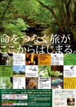 沖縄のガンガラーの谷