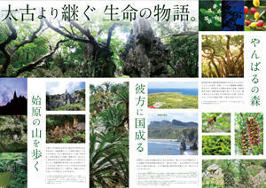 沖縄の観光施設 大石林山