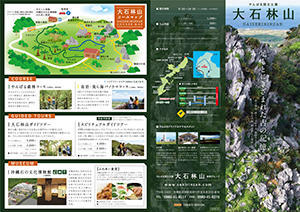 沖縄の観光施設 大石林山