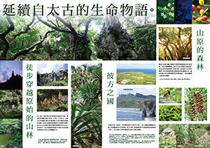 沖縄の観光施設 大石林山