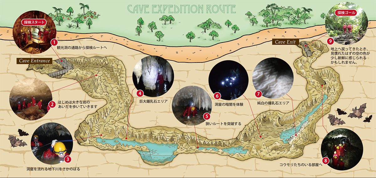玉泉洞内イラストマップ