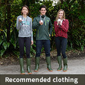 Recommended clothes