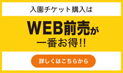 料金 チケット 公式 おきなわワールド 沖縄の魅力のすべてが一堂にそろう沖縄屈指の観光スポット