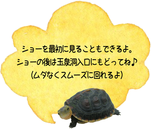 公式 おきなわワールド 沖縄の魅力のすべてが一堂にそろう沖縄屈指の観光スポット