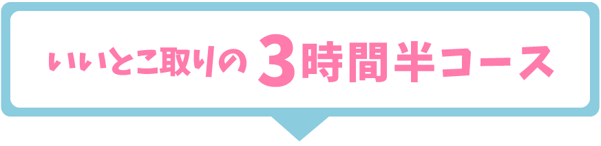 いいとこ取りの3時間半コース