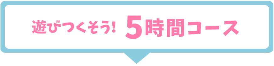 遊びつくそう！5時間コース