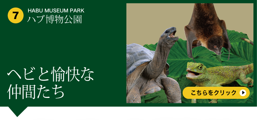 Habu Museum Park - ヘビと愉快な仲間たち