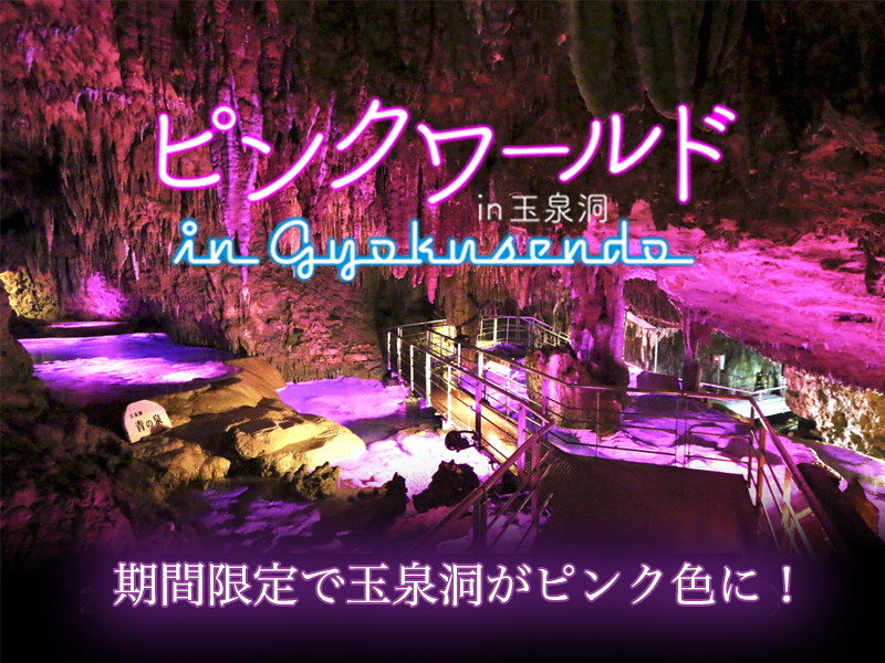 ピンクワールド in 玉泉洞